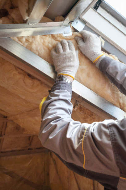 Best Residential Insulation in California, MO