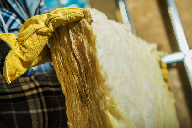 Best Commercial Insulation in California, MO